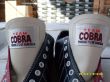 Прокатная обувь Team Cobra